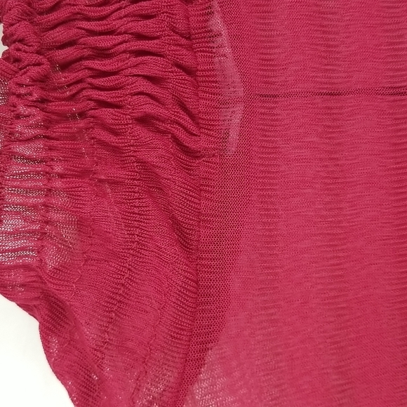 Zara Cranberry Dropped Waist Sheer Overlay Dress with Slip - Picture 10 of 13